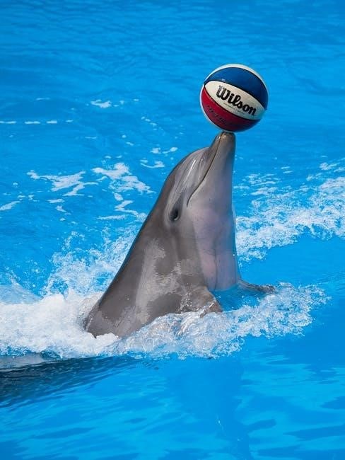 dolphin nautilus cc manual