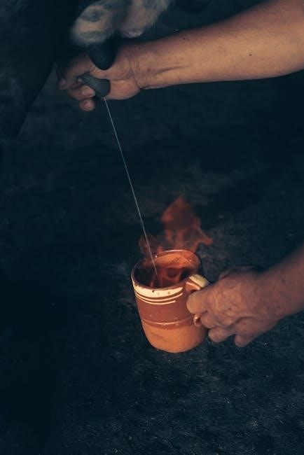 ember mug manual